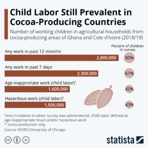 Child Labor In Cocoa Production